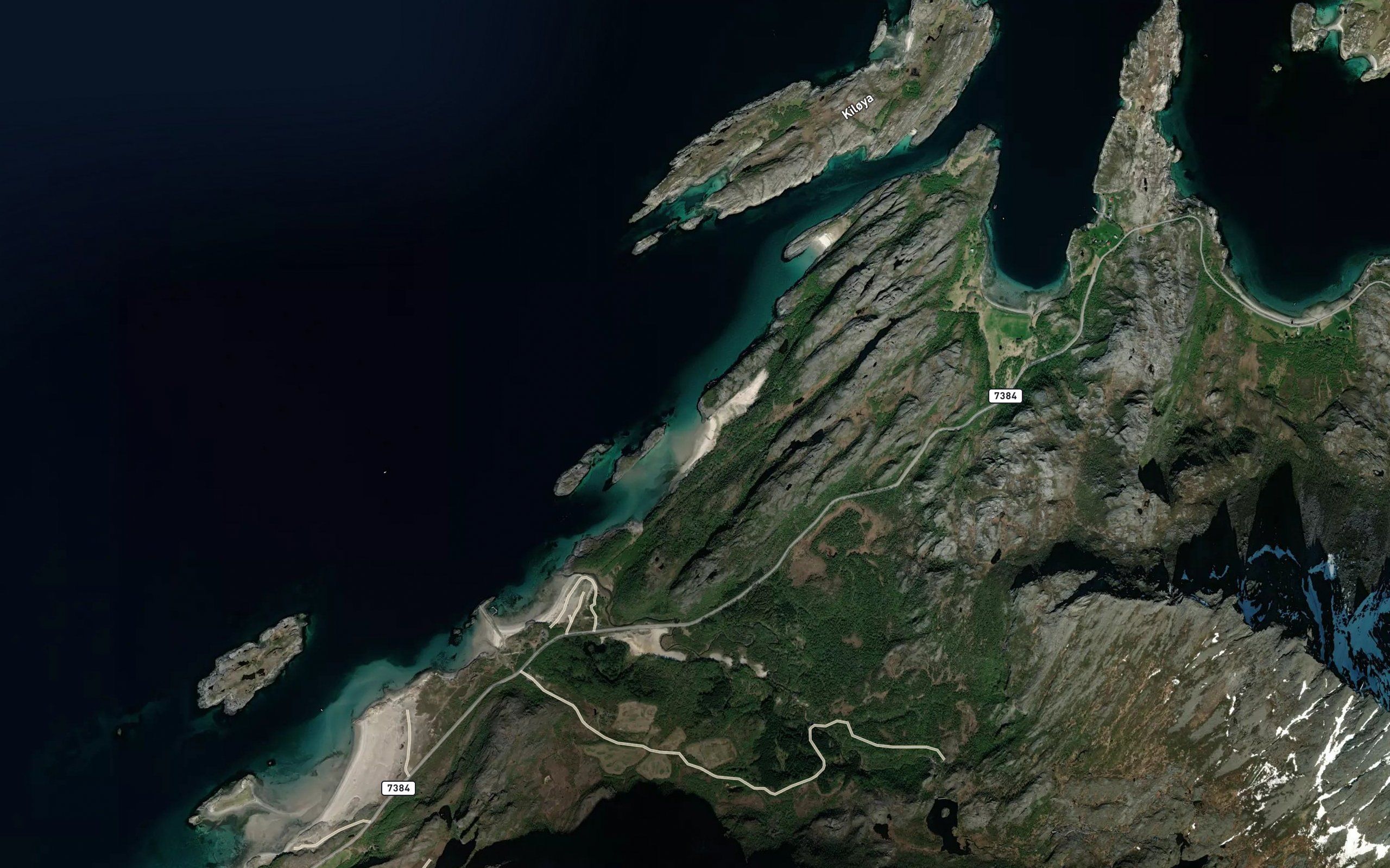 Rodvika