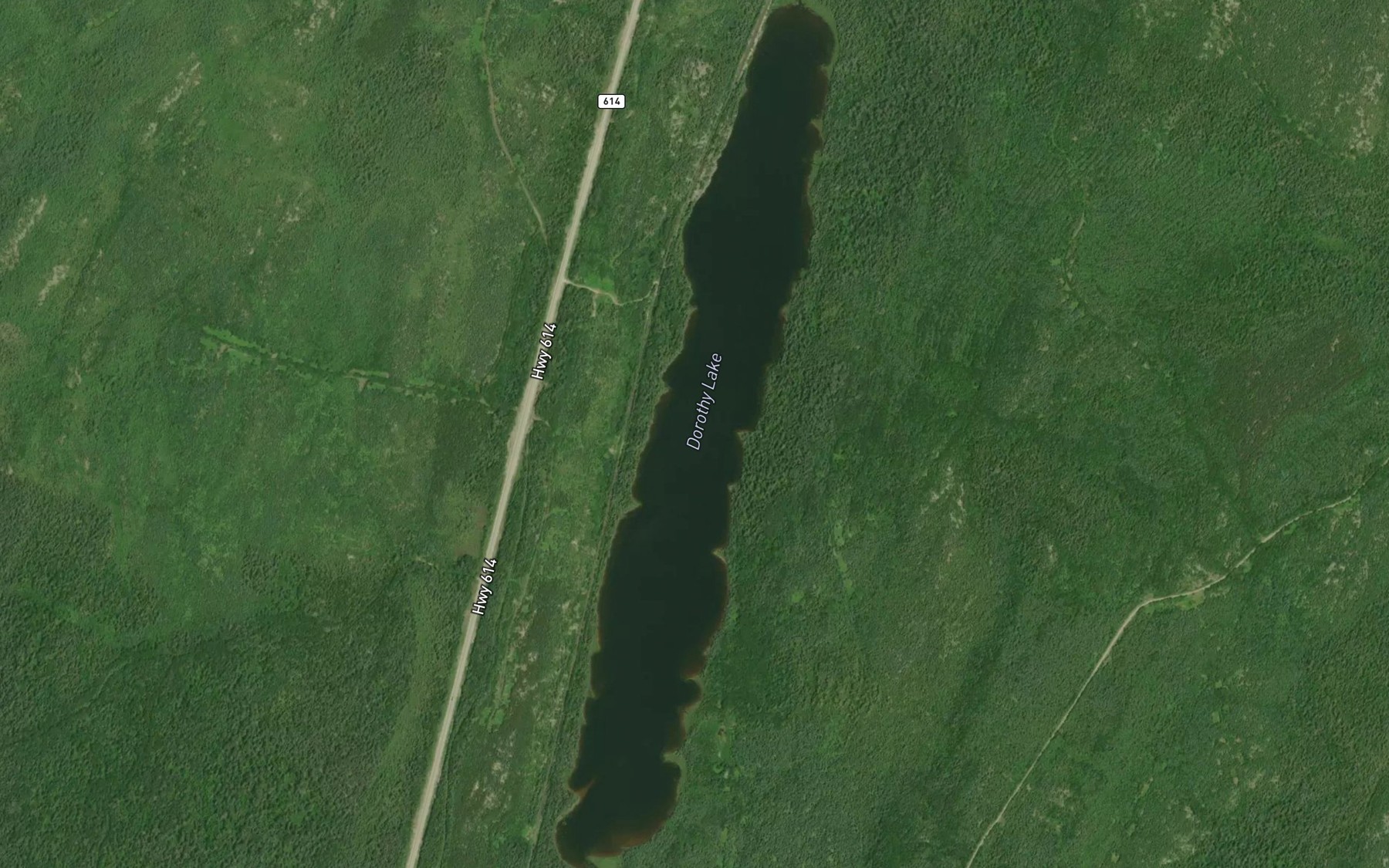 Satellite map of the Dorothy Lake
