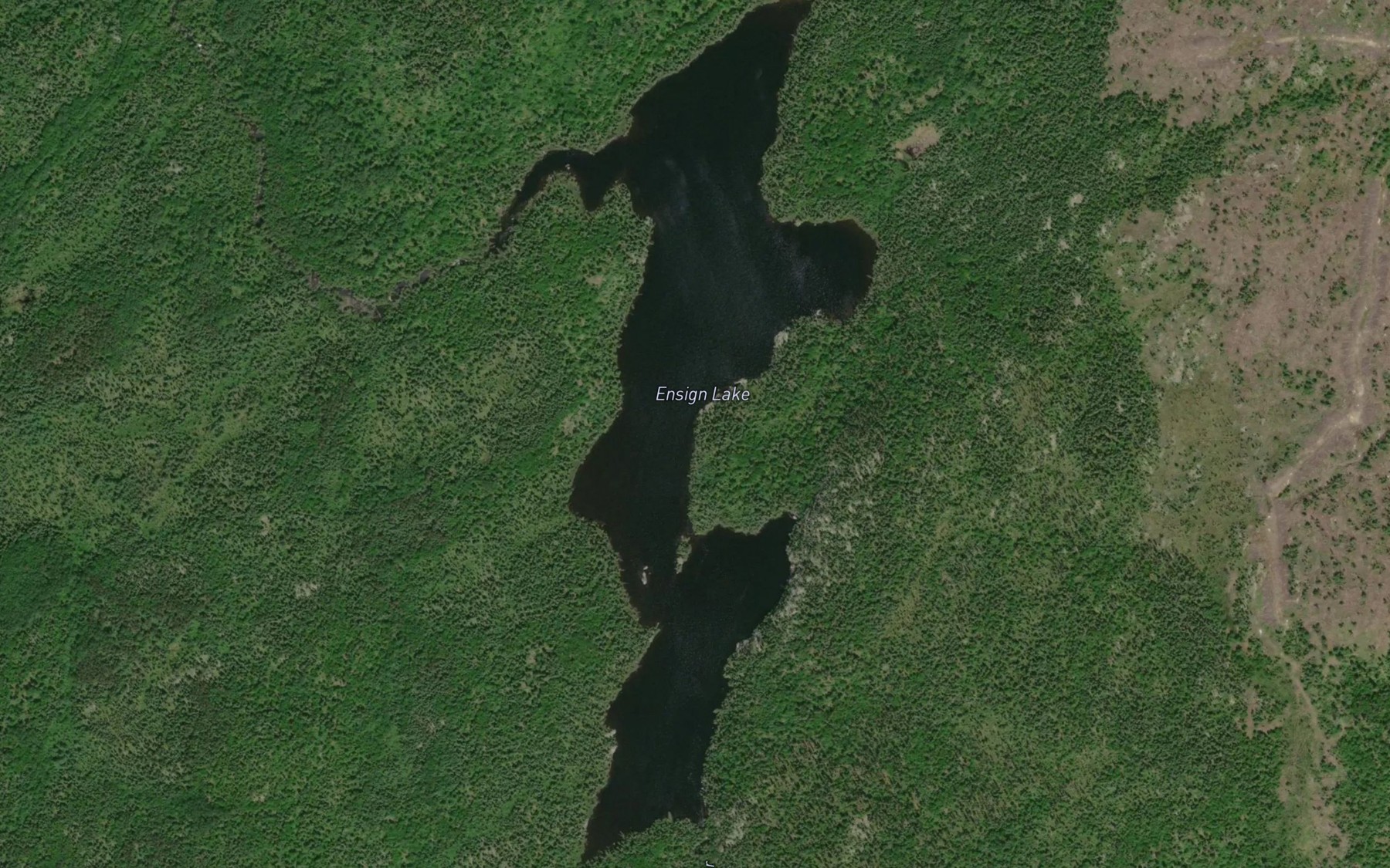 Satellite map of the Ensign Lake