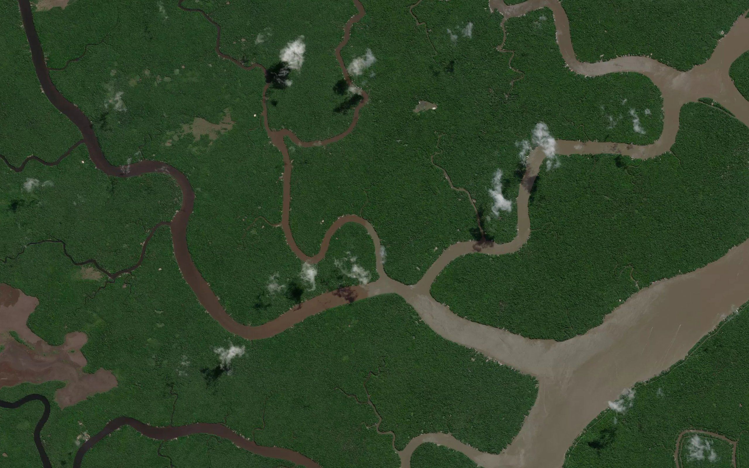 Rio Pracuuba-Miri