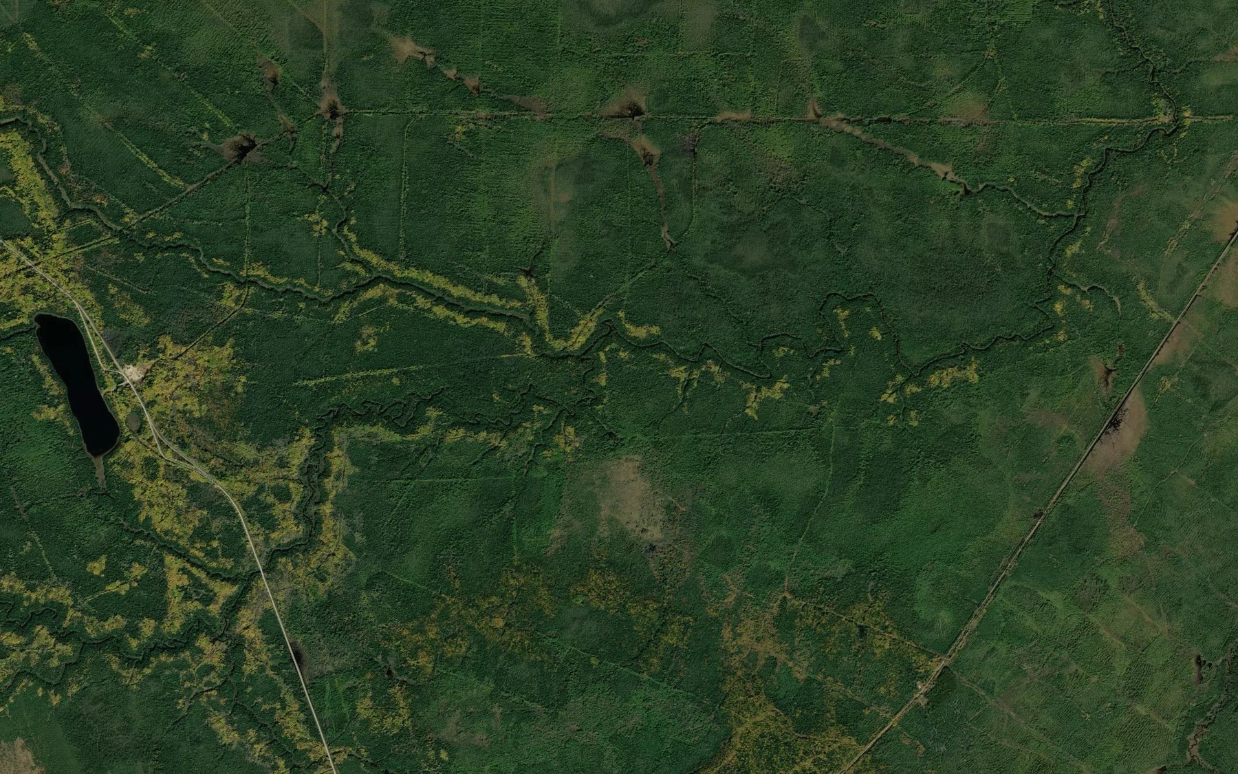 Satellite map of the Wilhelmina Creek