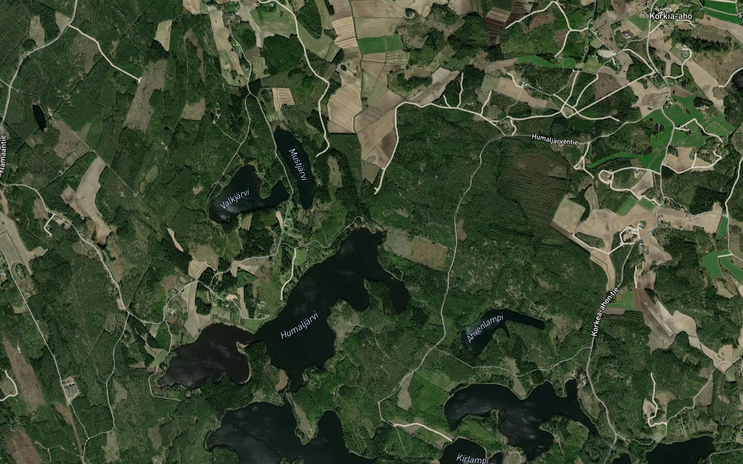 Murronjoki