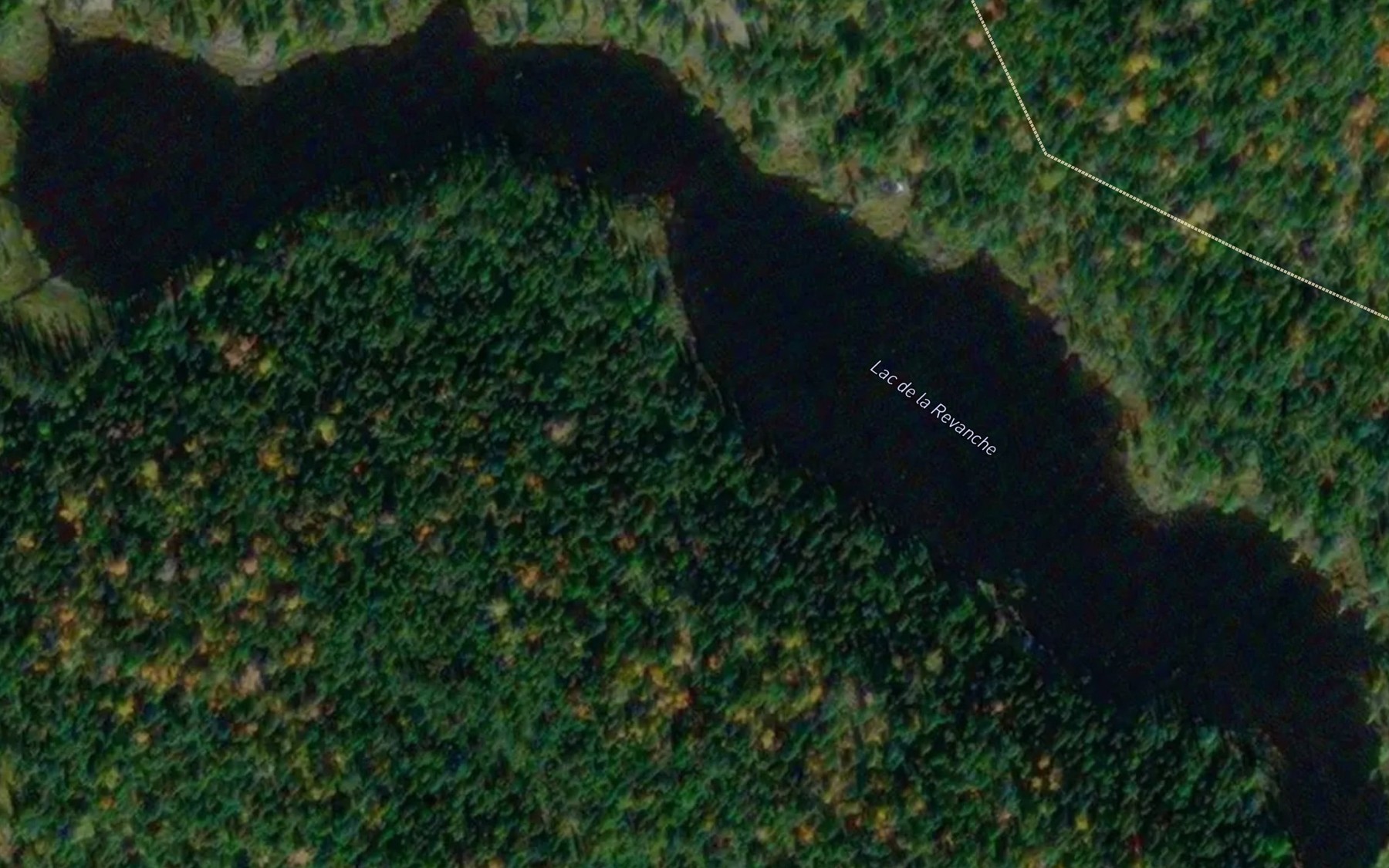 Satellite map of the Lac de la Revanche