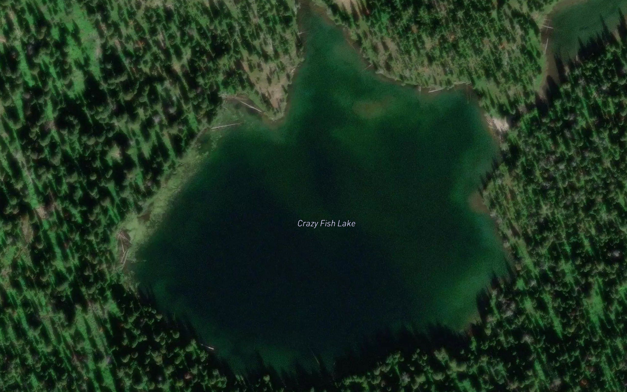 Crazy Fish Lake