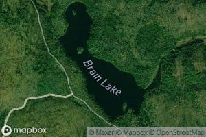 Brain Lake