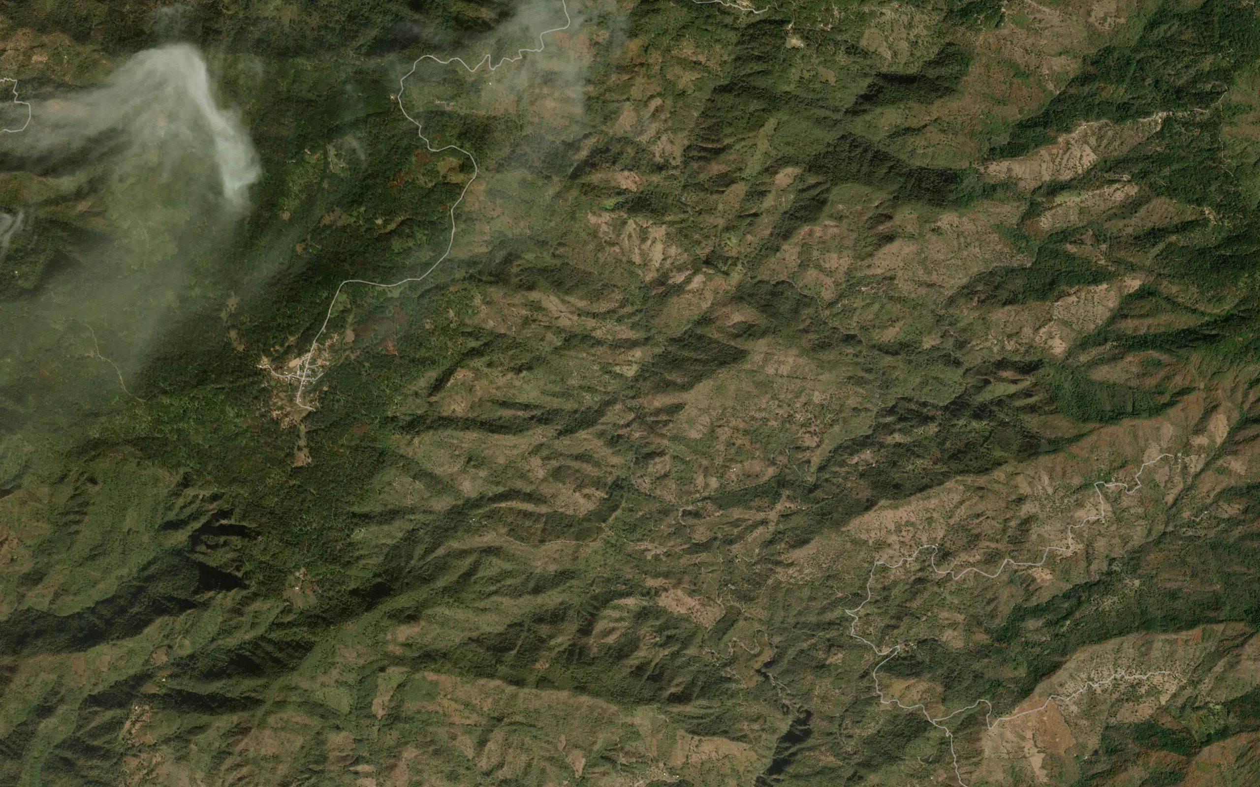 El Tepehuaje
