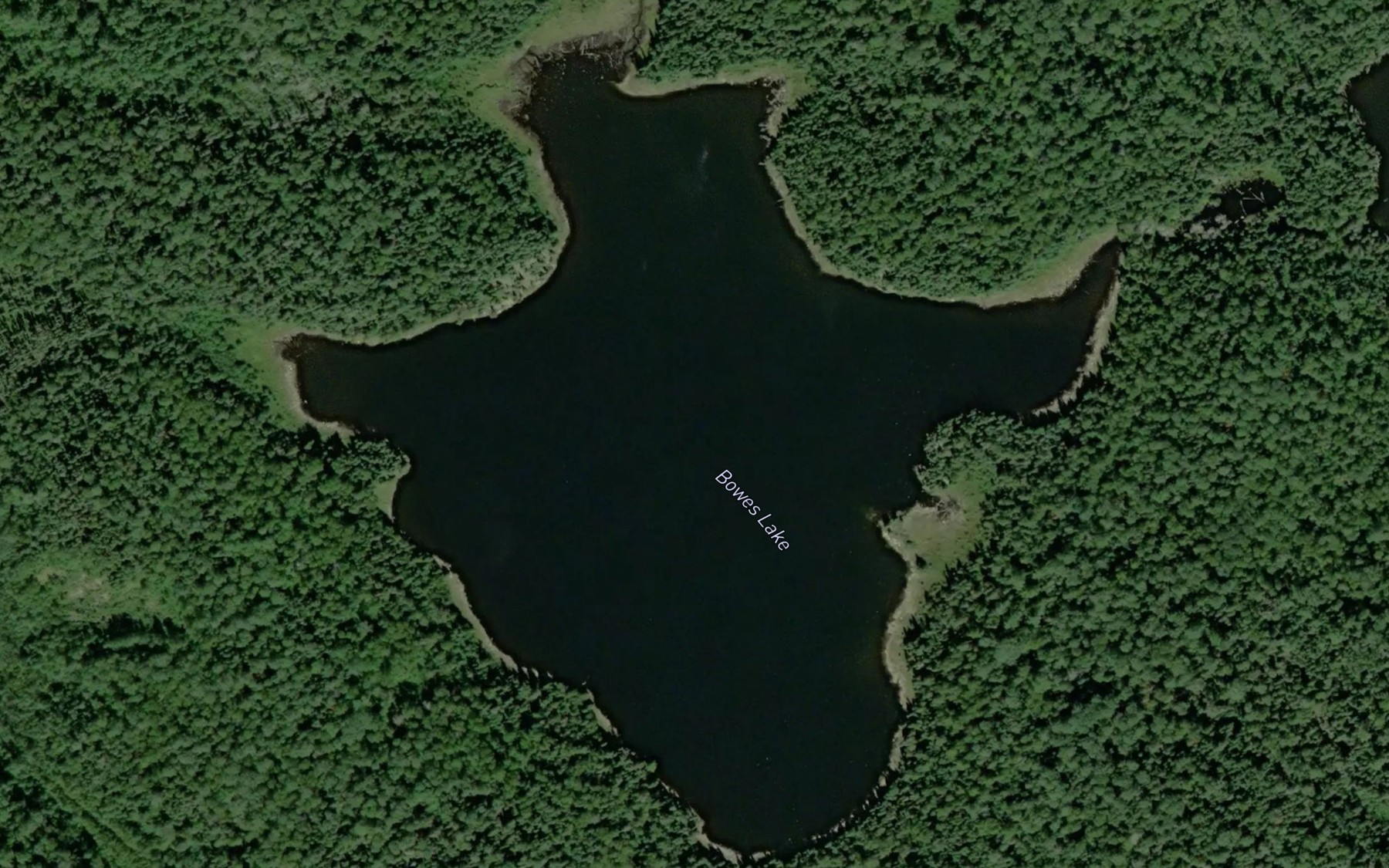 Satellite map of the Bowes Lake