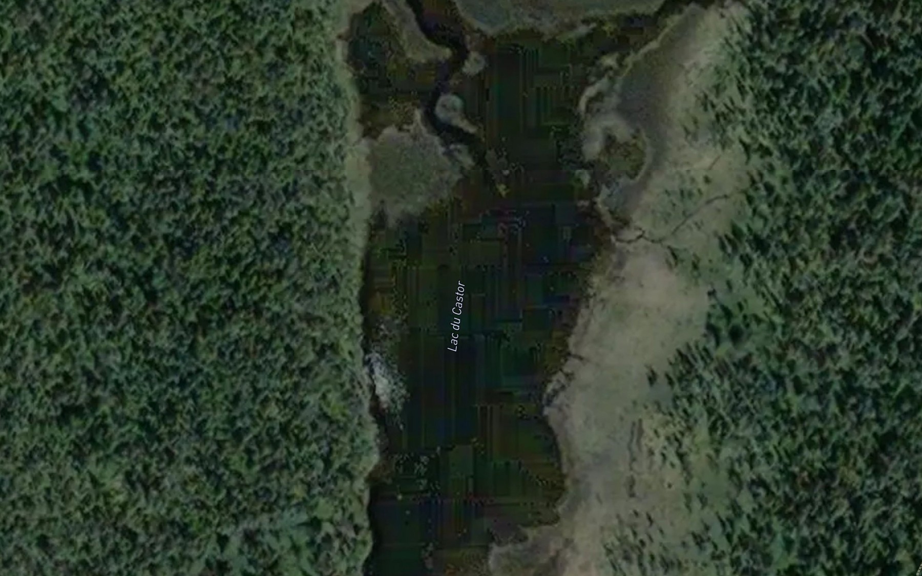 Satellite map of the Lac du Castor Disparu