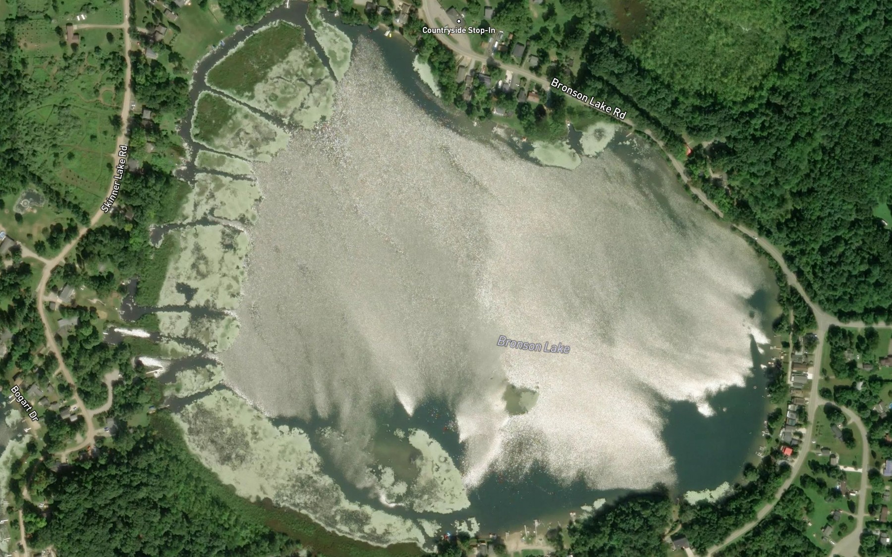 Satellite map of the Bronson Lake