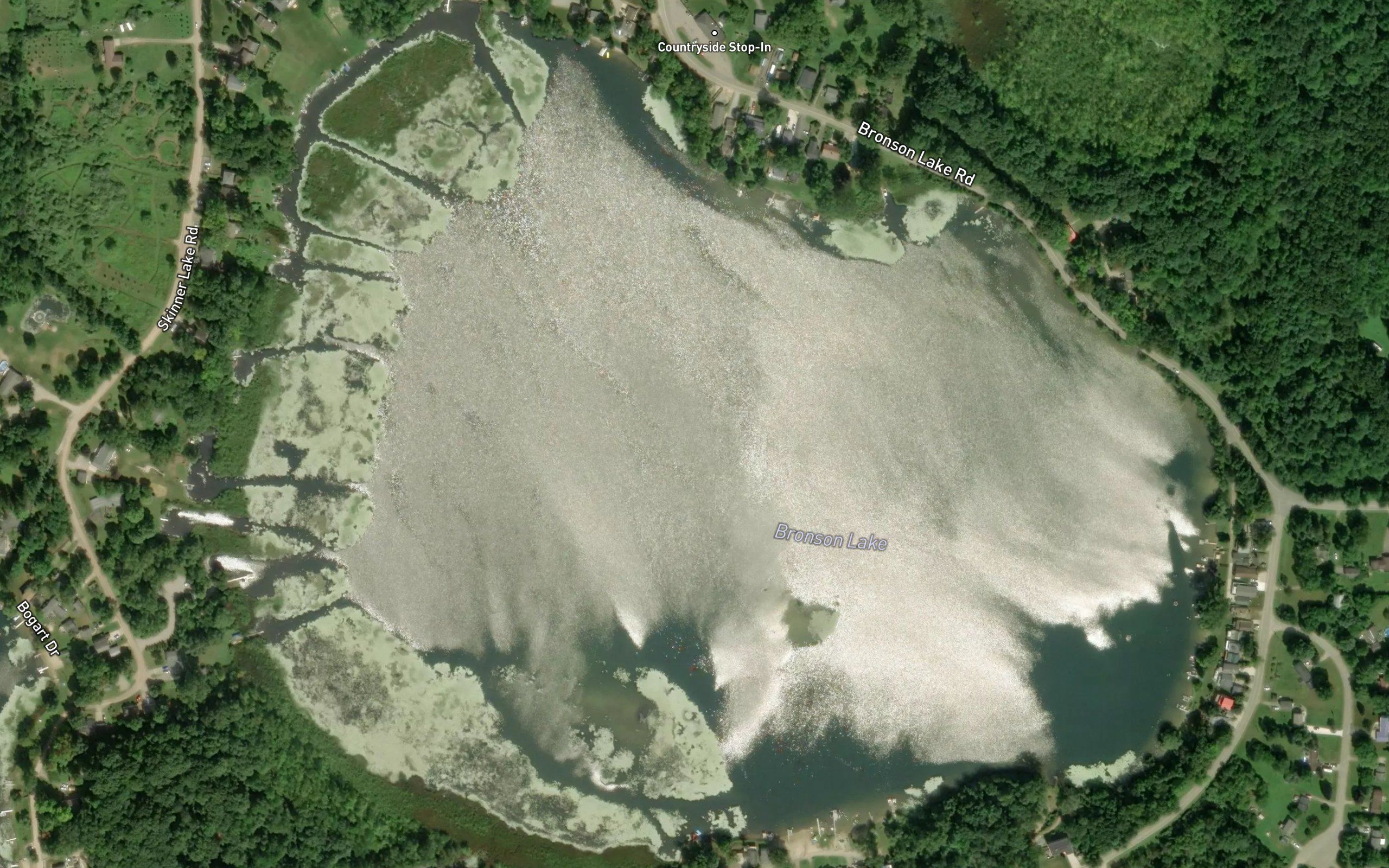 Bronson Lake