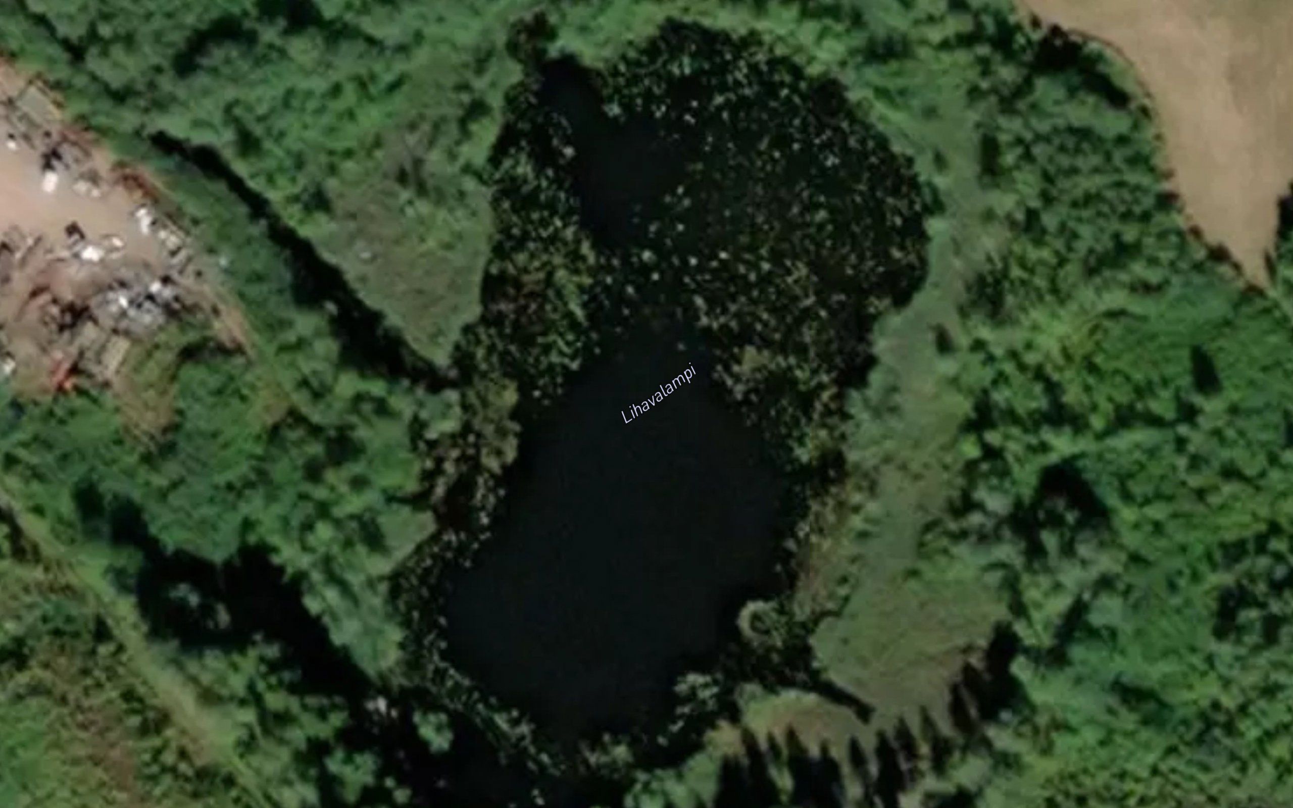 Lihavalampi