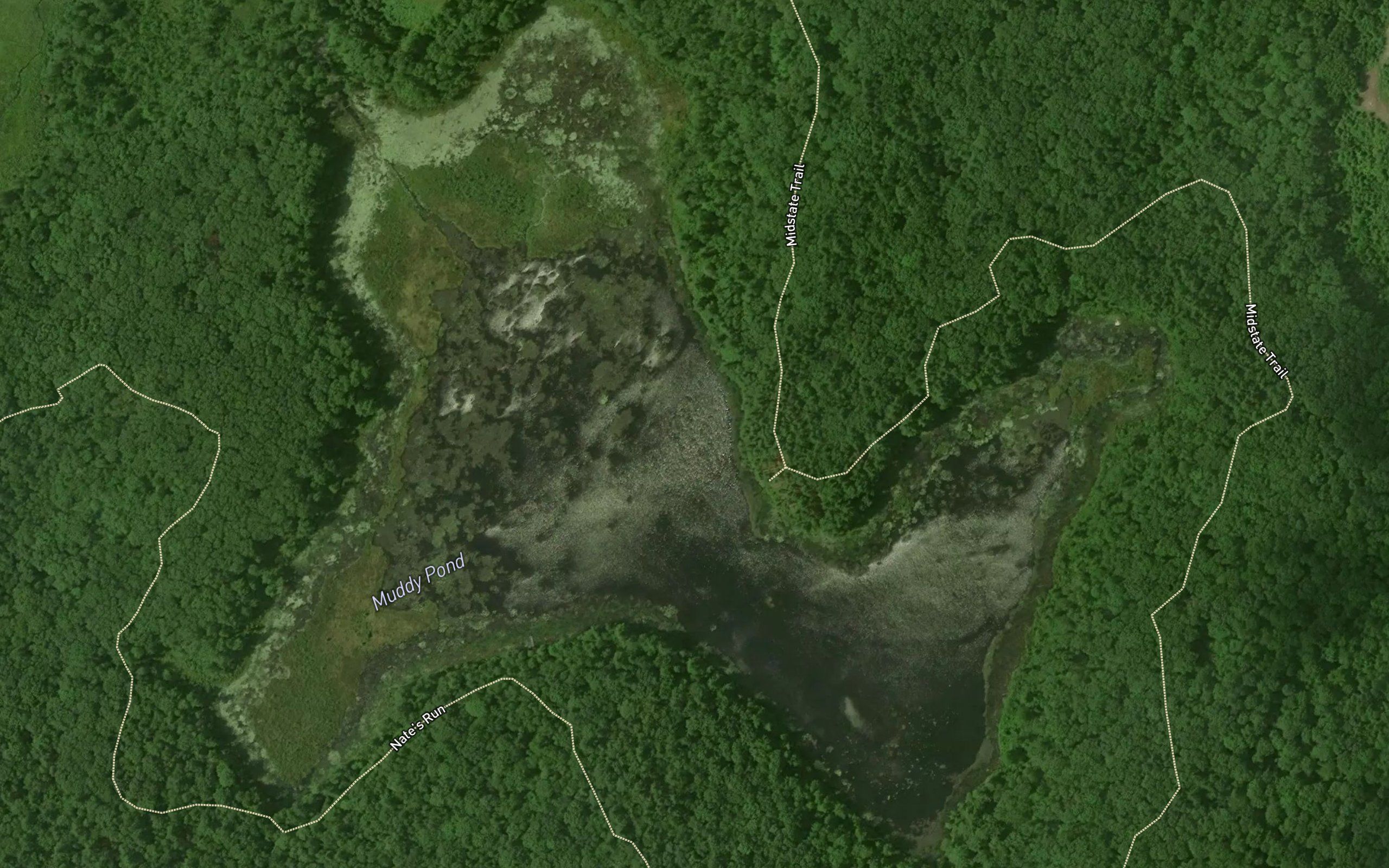 Muddy Pond