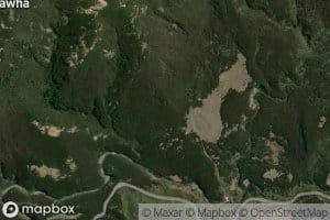 Te Waiamaru Stream
