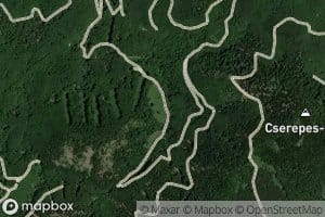 Ilona-voelgyi vizeses