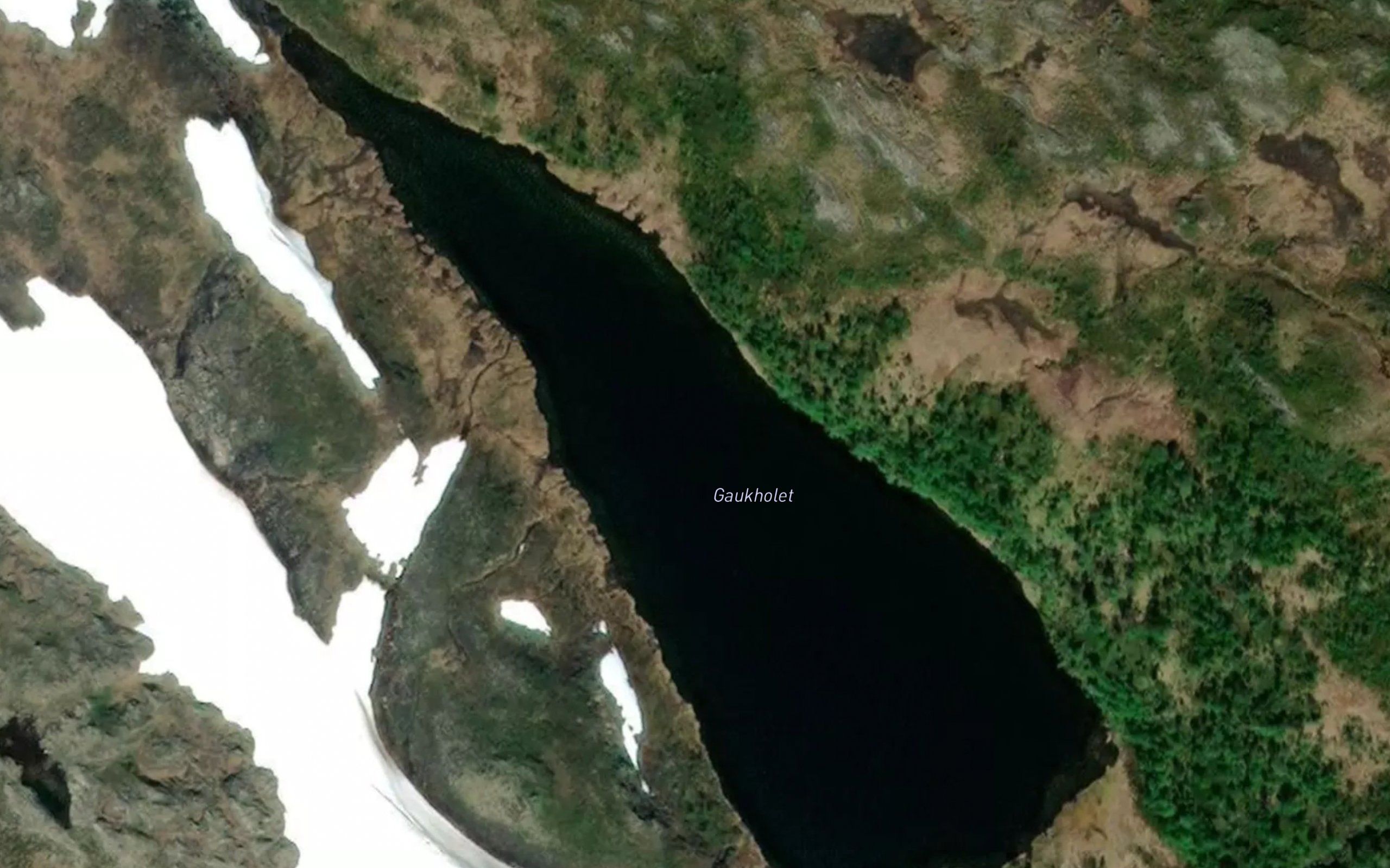 Gaukholet