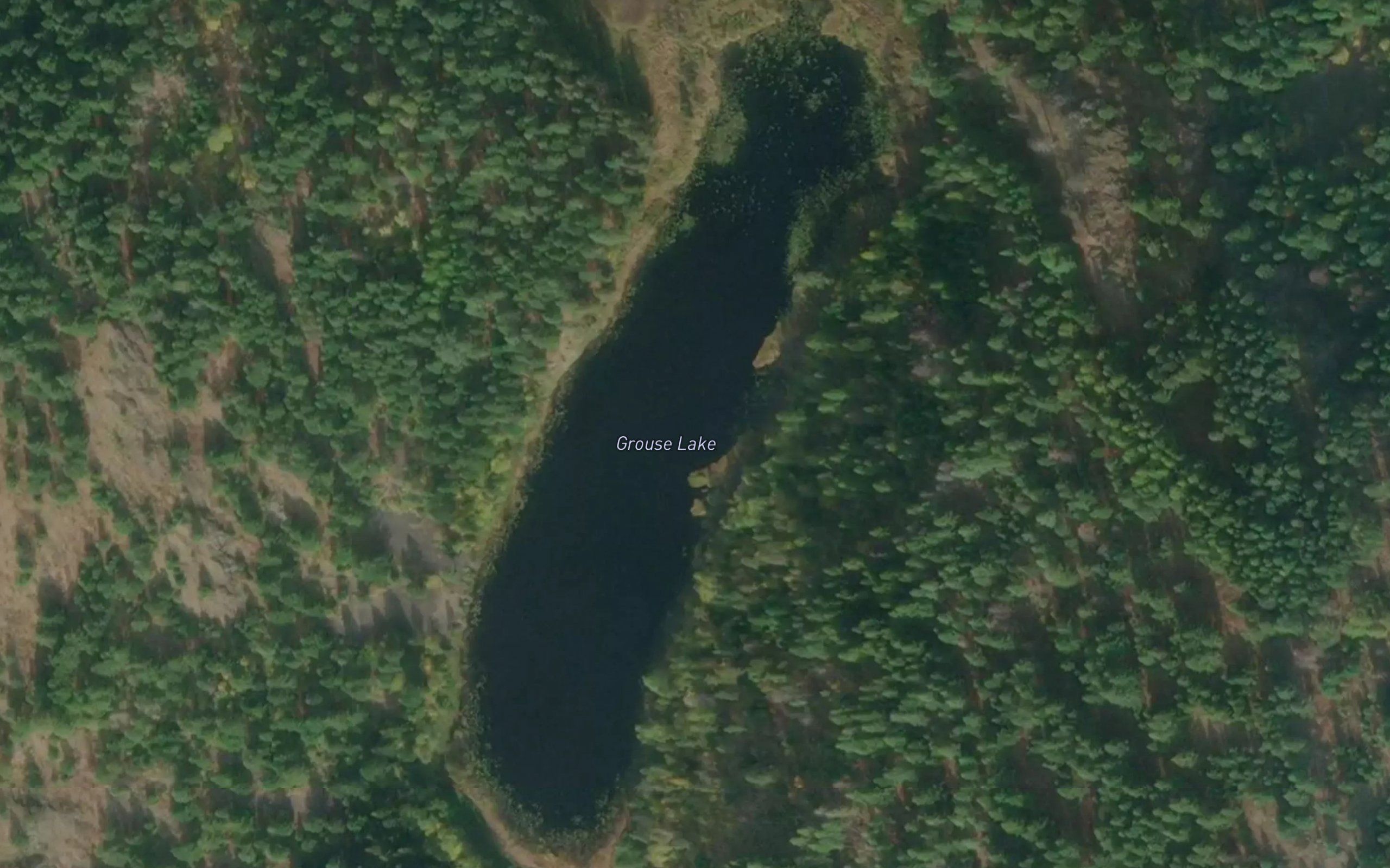 Grouse Lake