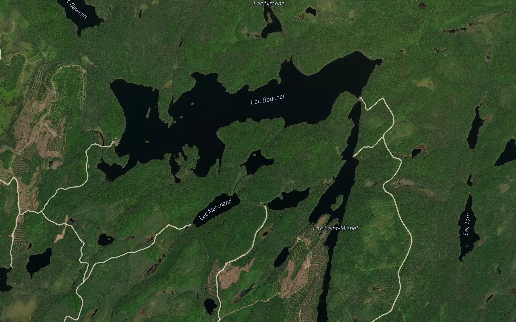 Satellite map of the Lac Vic