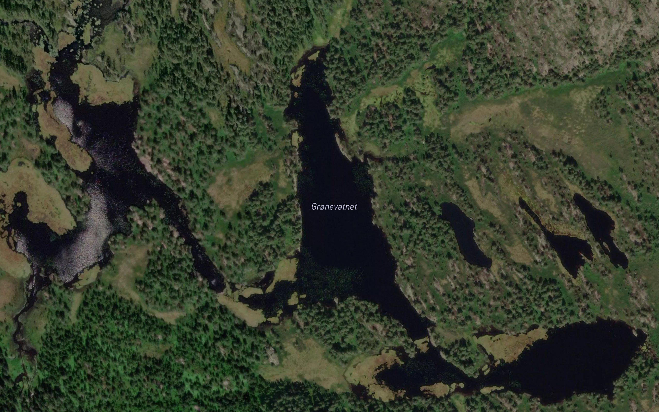 Gronevatnet