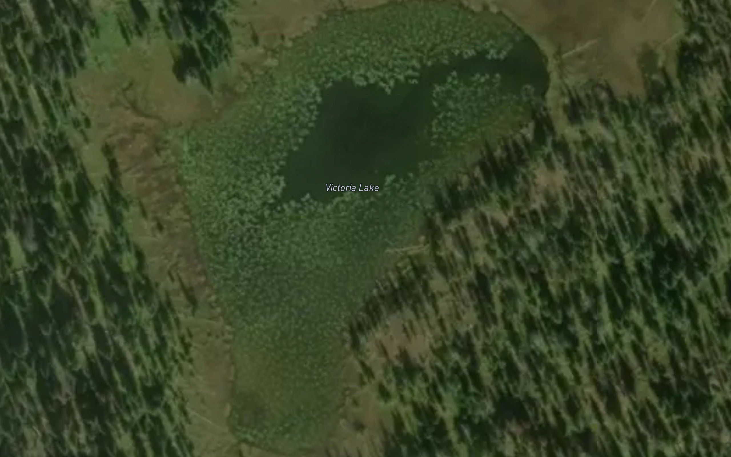 Victoria Lake