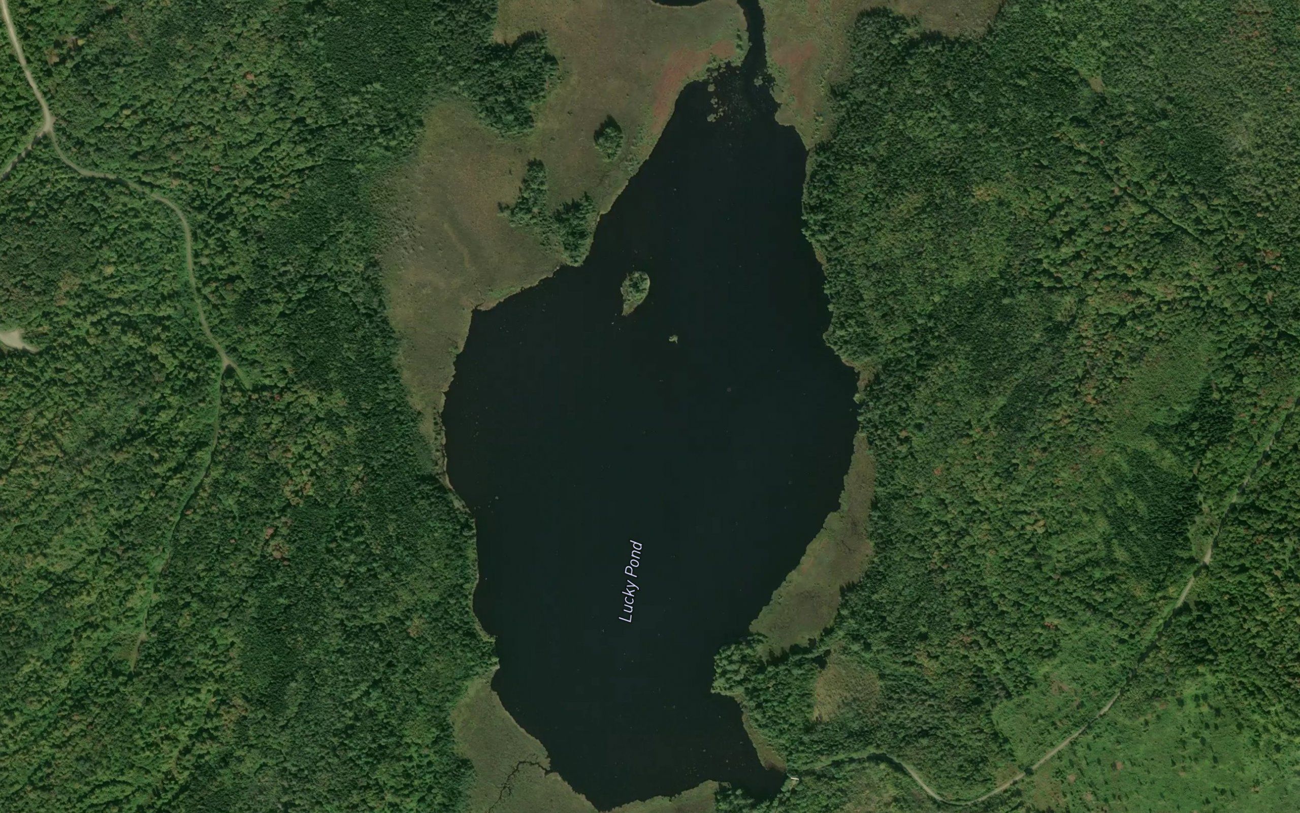 Lucky Pond