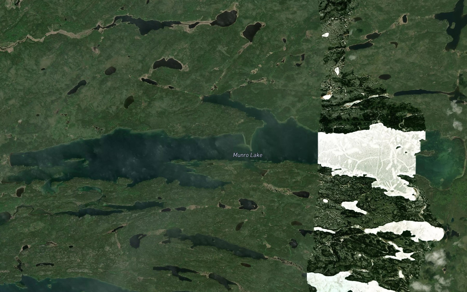 Satellite map of the Munro Lake