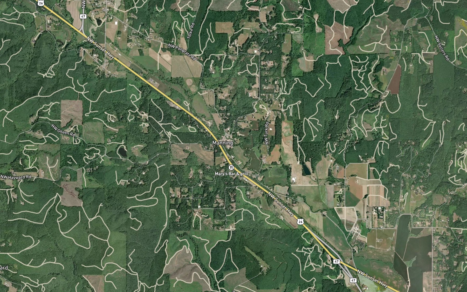 Satellite map of the Whiteman Pond
