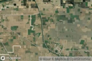 Manda Shakh Khokri Feeder