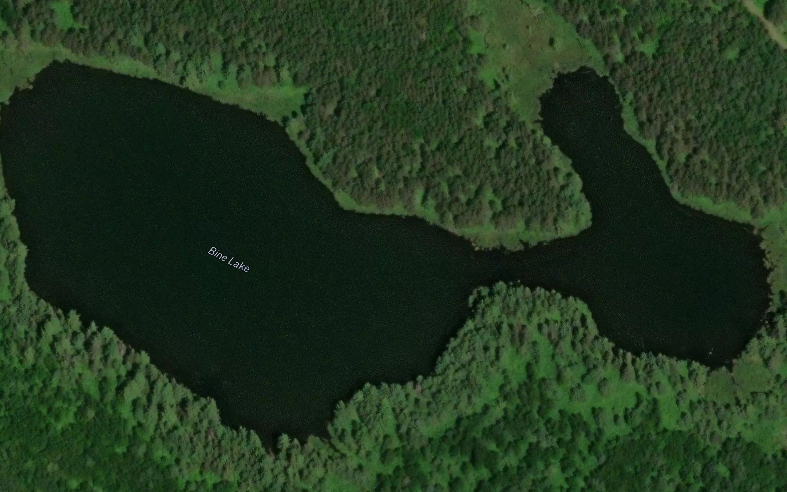 Bine Lake