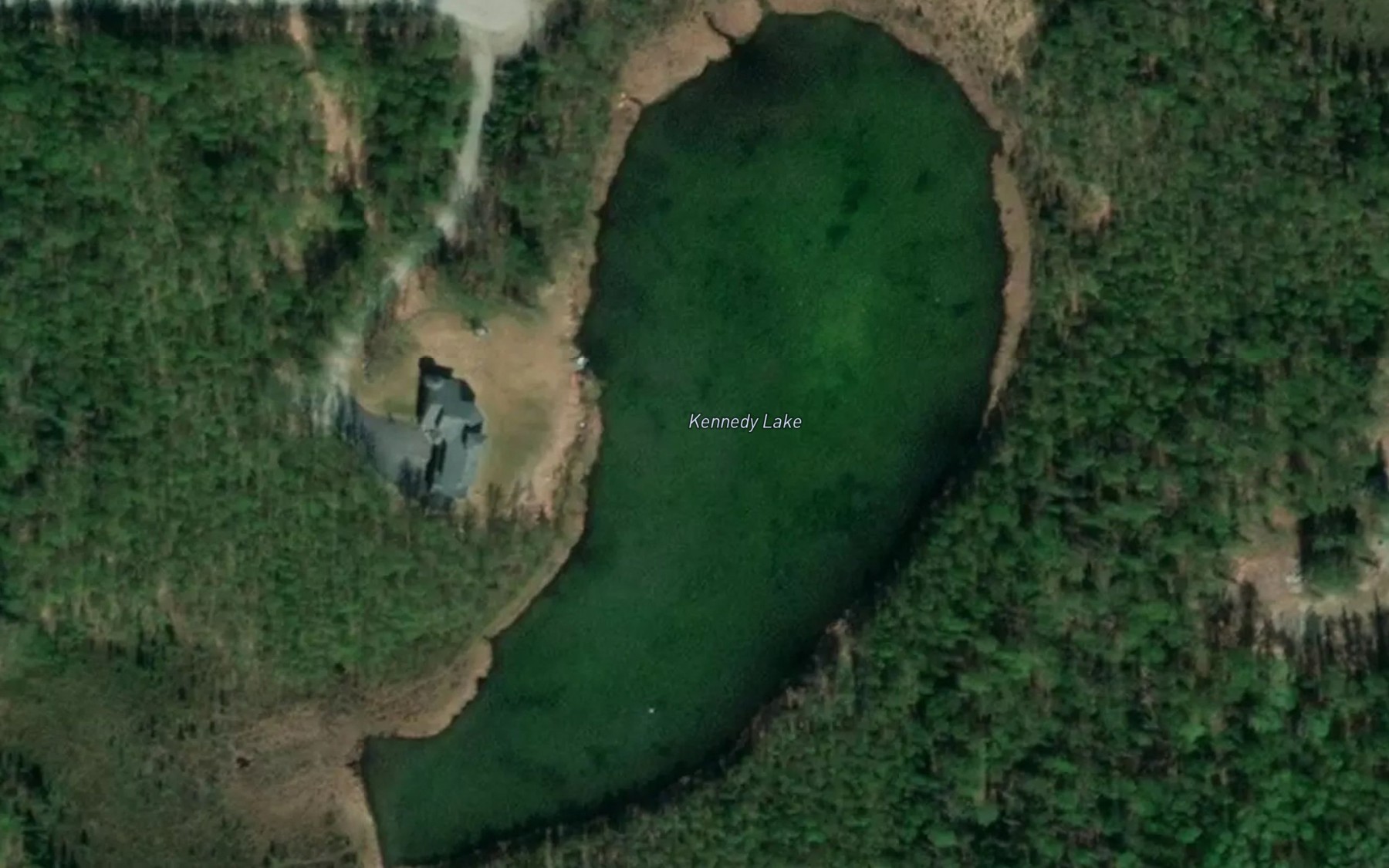 Satellite map of the Kennedy Lake
