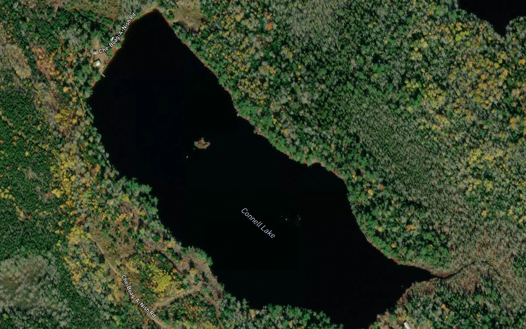 Satellite map of the Connell Lake