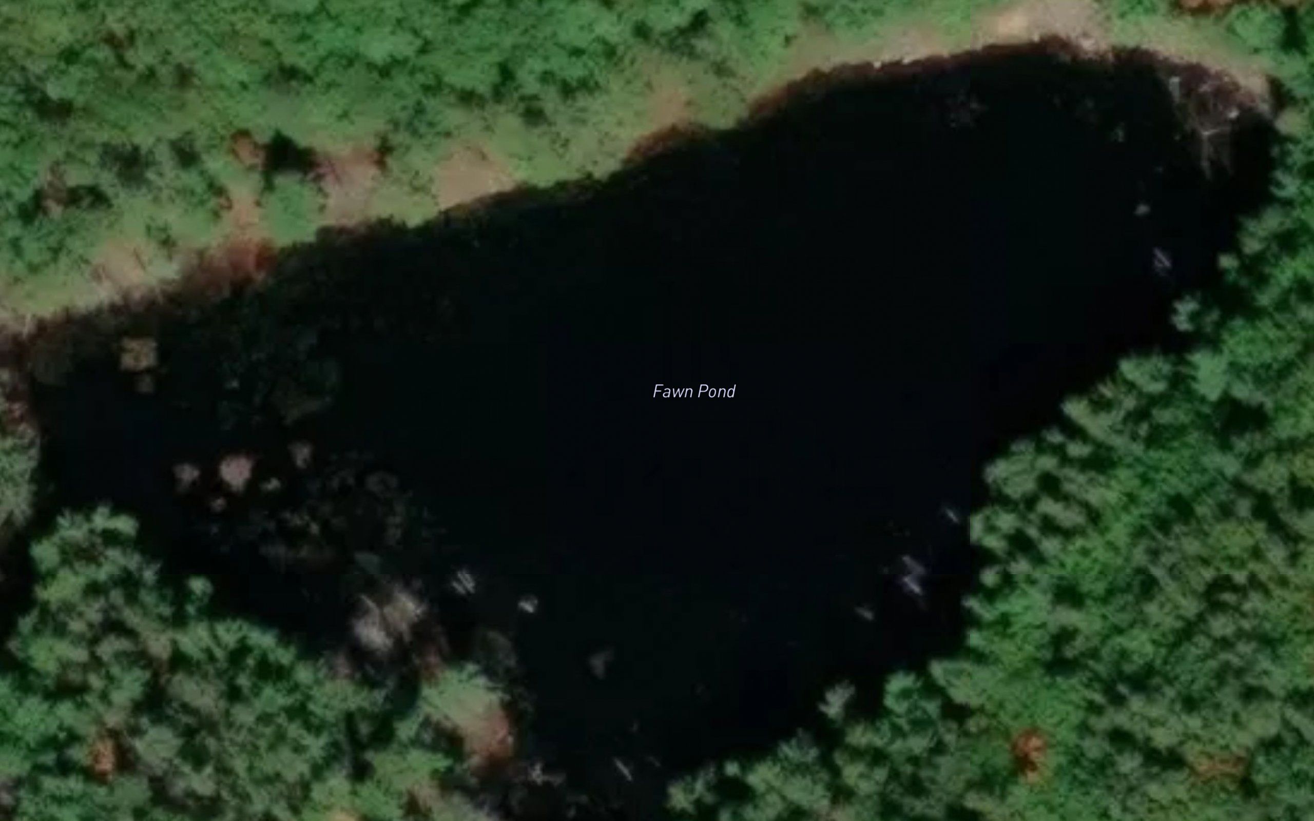 Fawn Pond