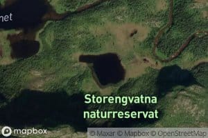 Stornestjonna