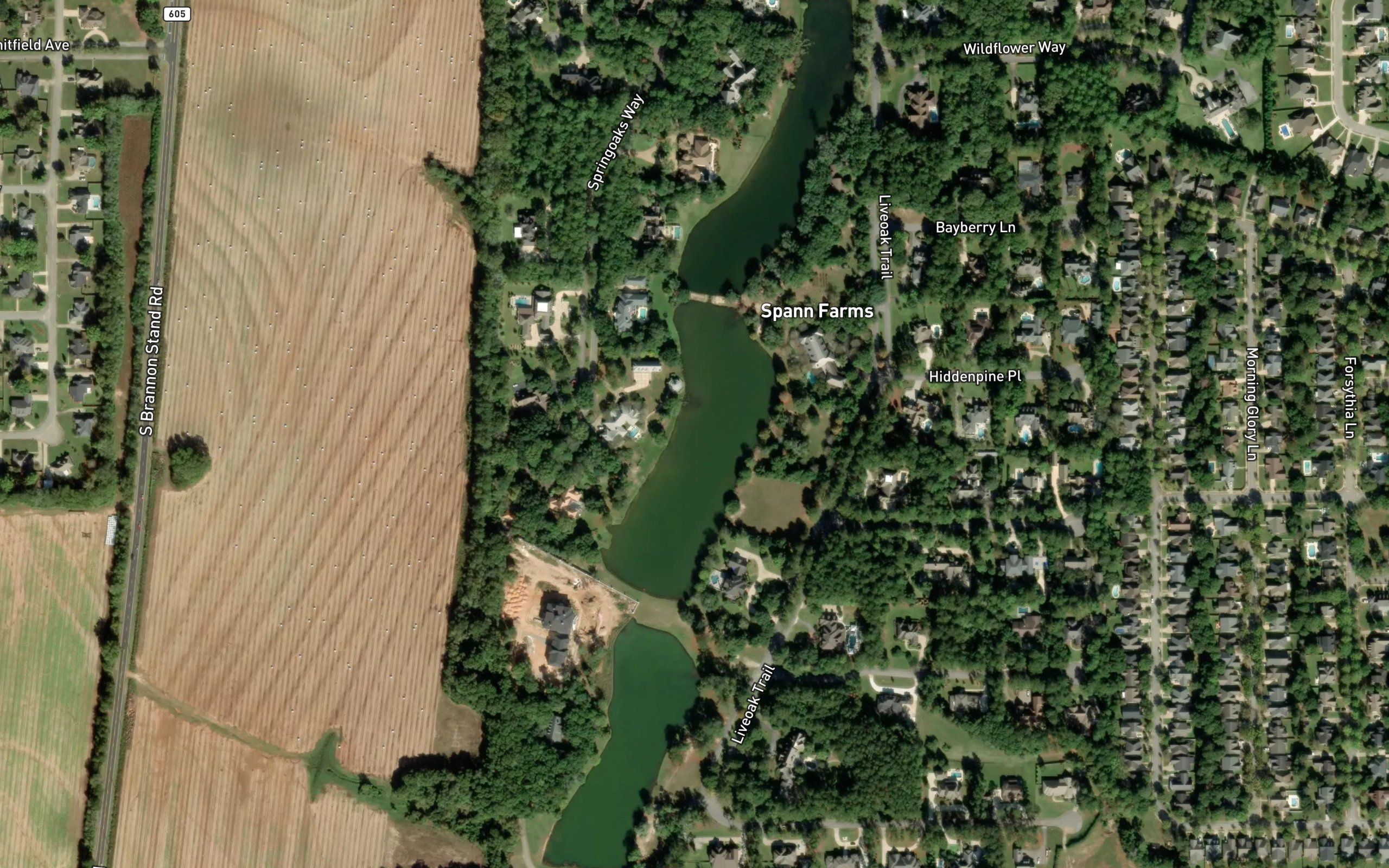 Spann Ponds
