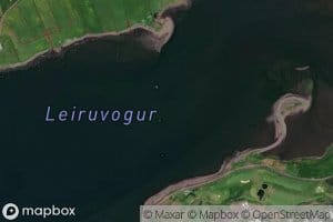 Leiruvogur