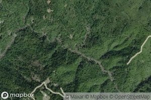 North Fork McCoy Creek
