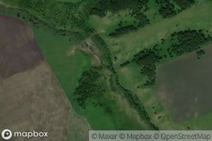 Log Kasiryatskoye Boloto