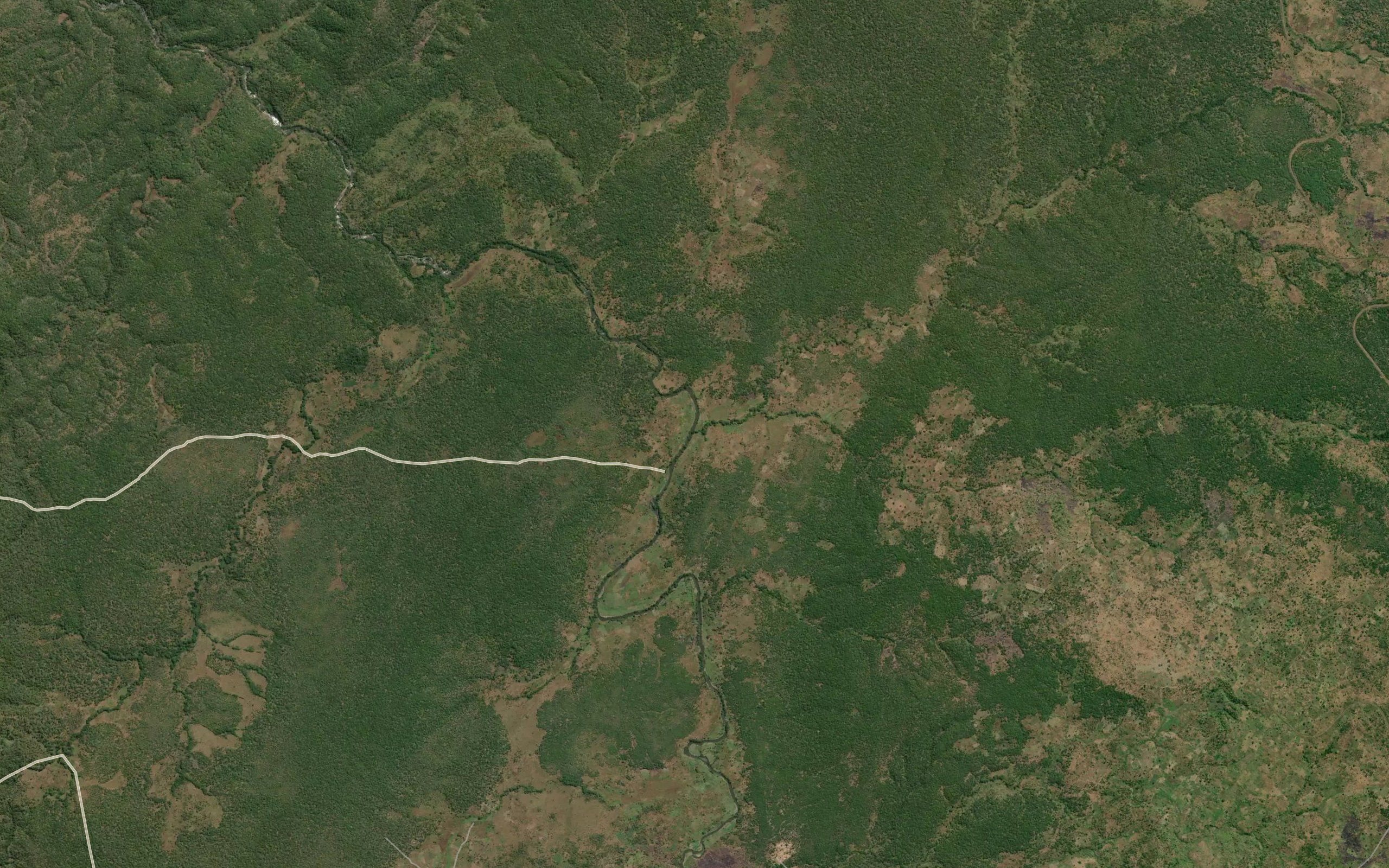 Kasakai