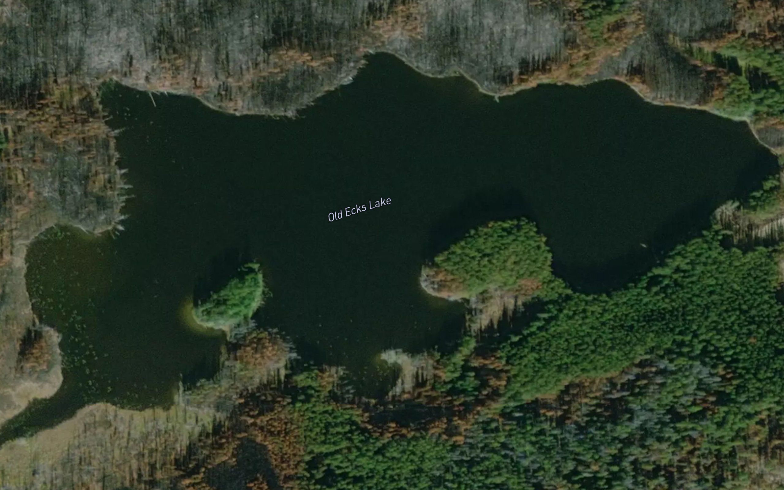 Old Ecks Lake