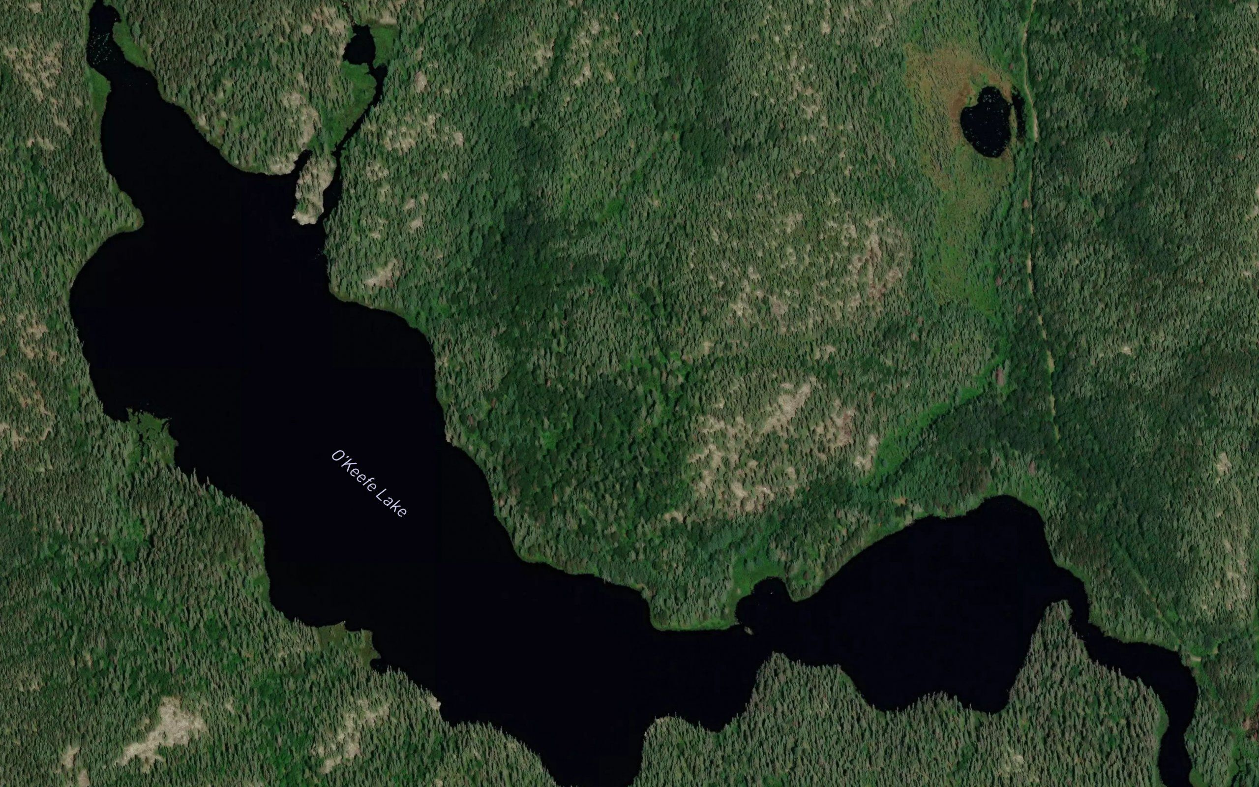 O'Keefe Lake