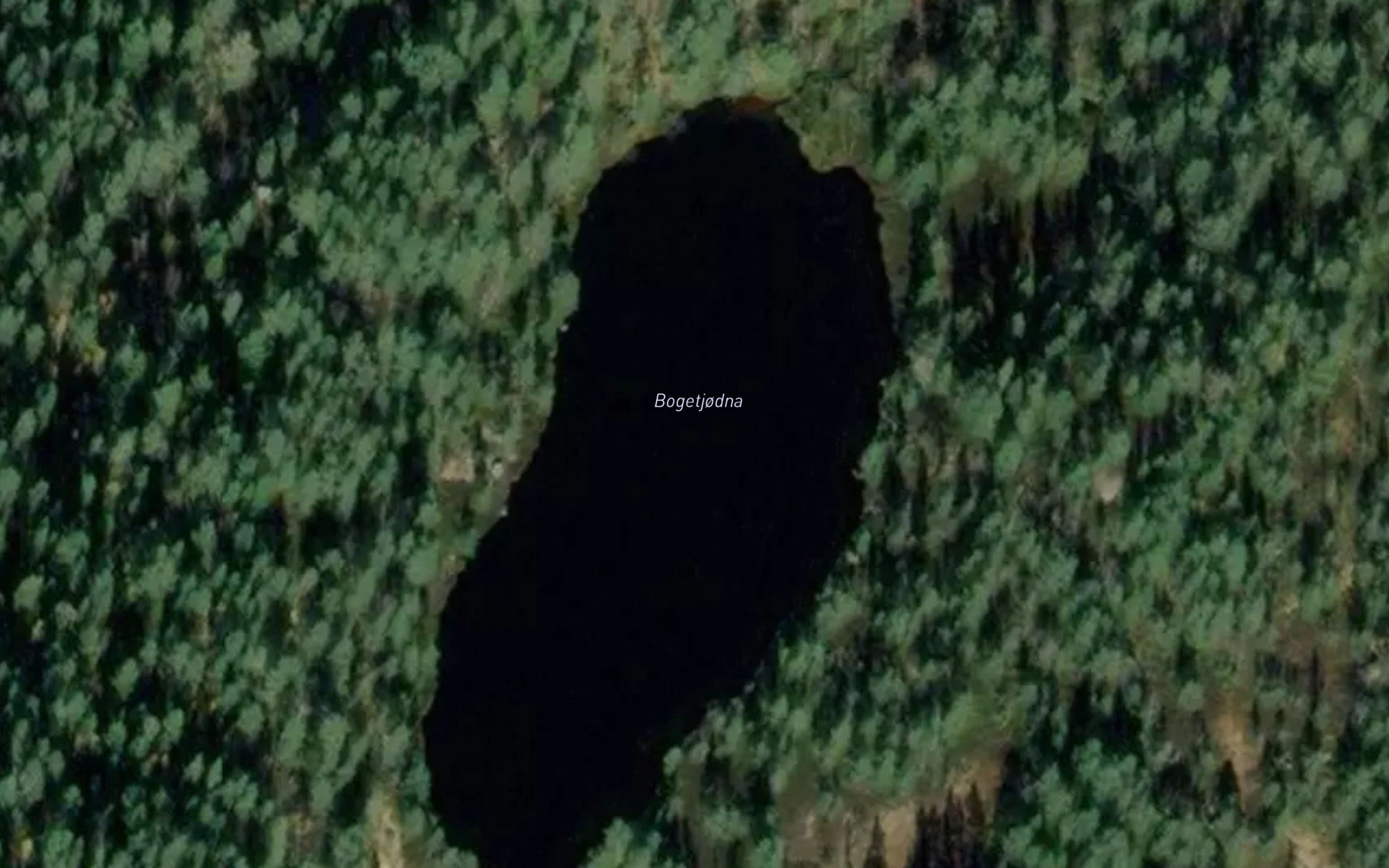 Bogetjodna