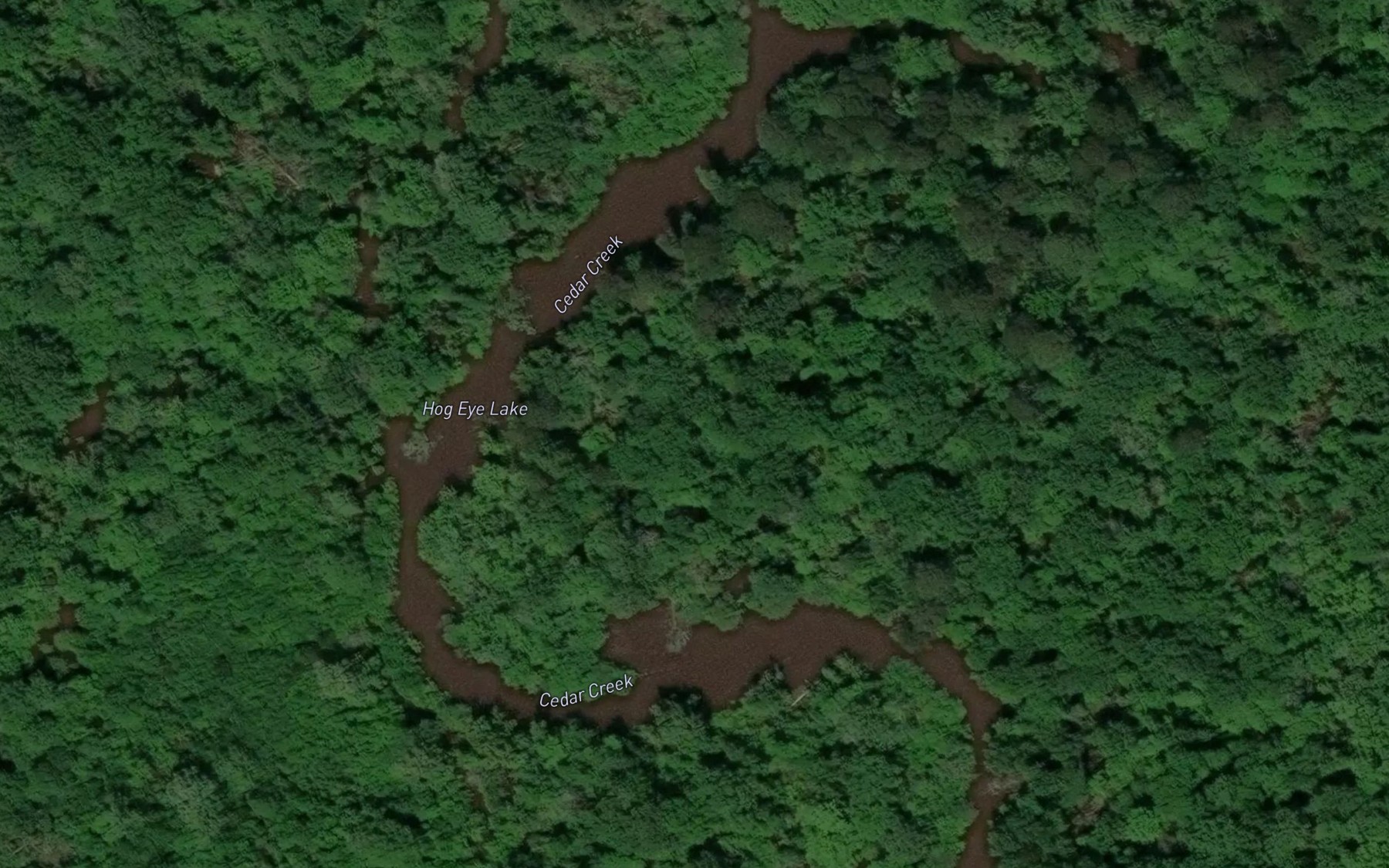 Satellite map of the Hog Eye Lake