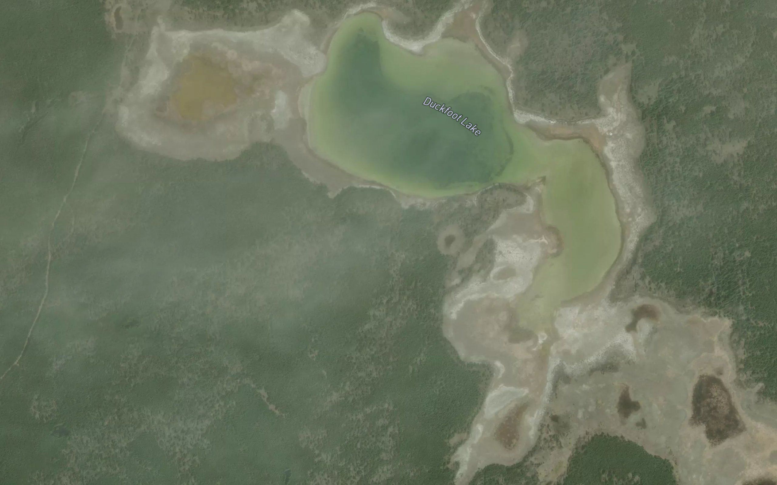 Duckfoot Lake
