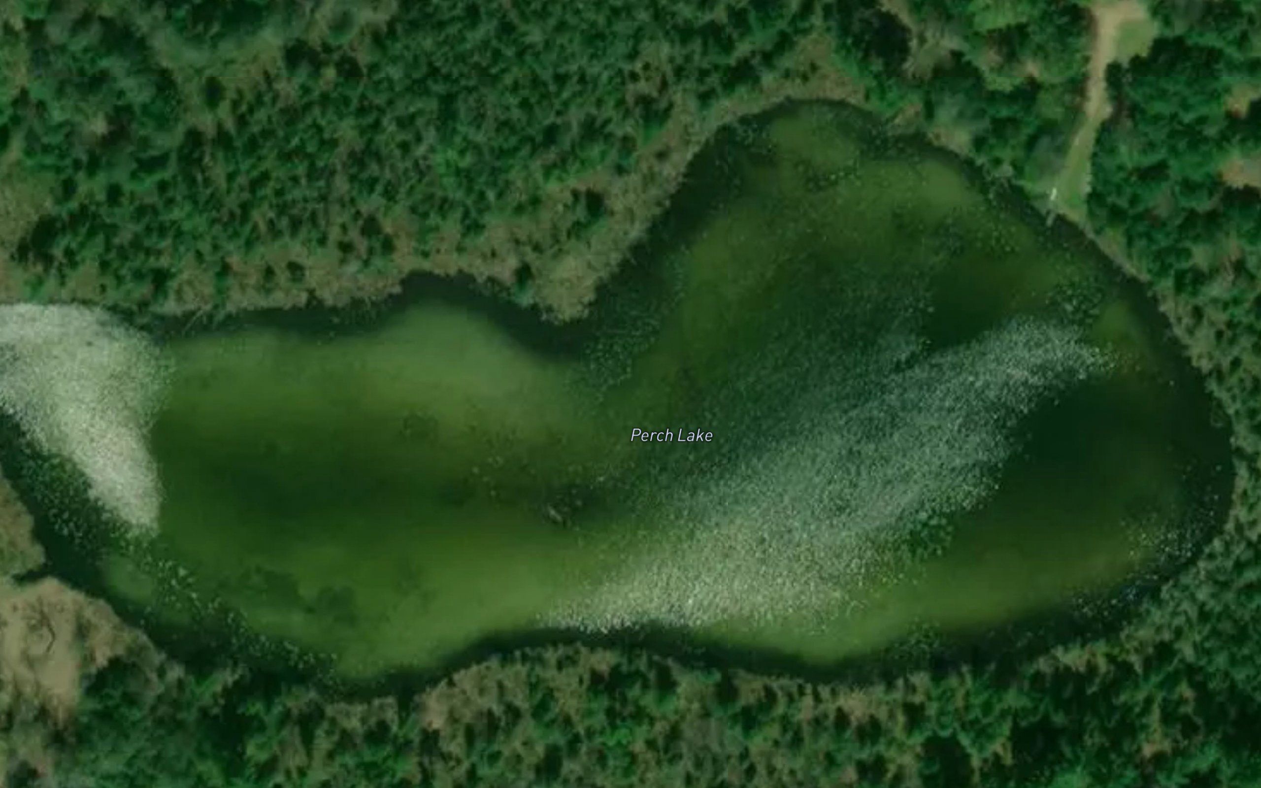 Perch Lake
