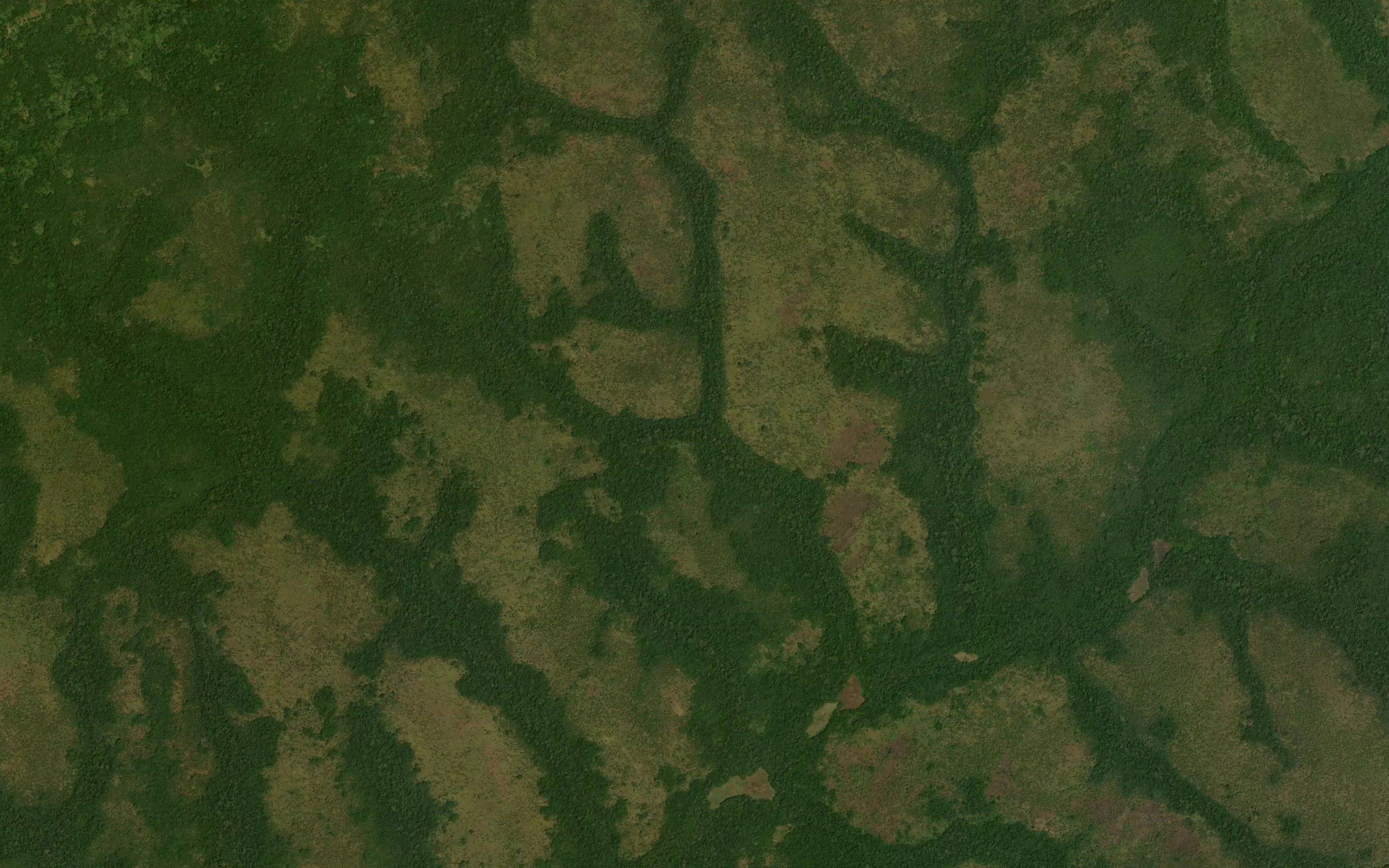 Zelebodo