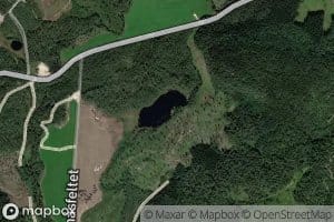 Grasstjonn