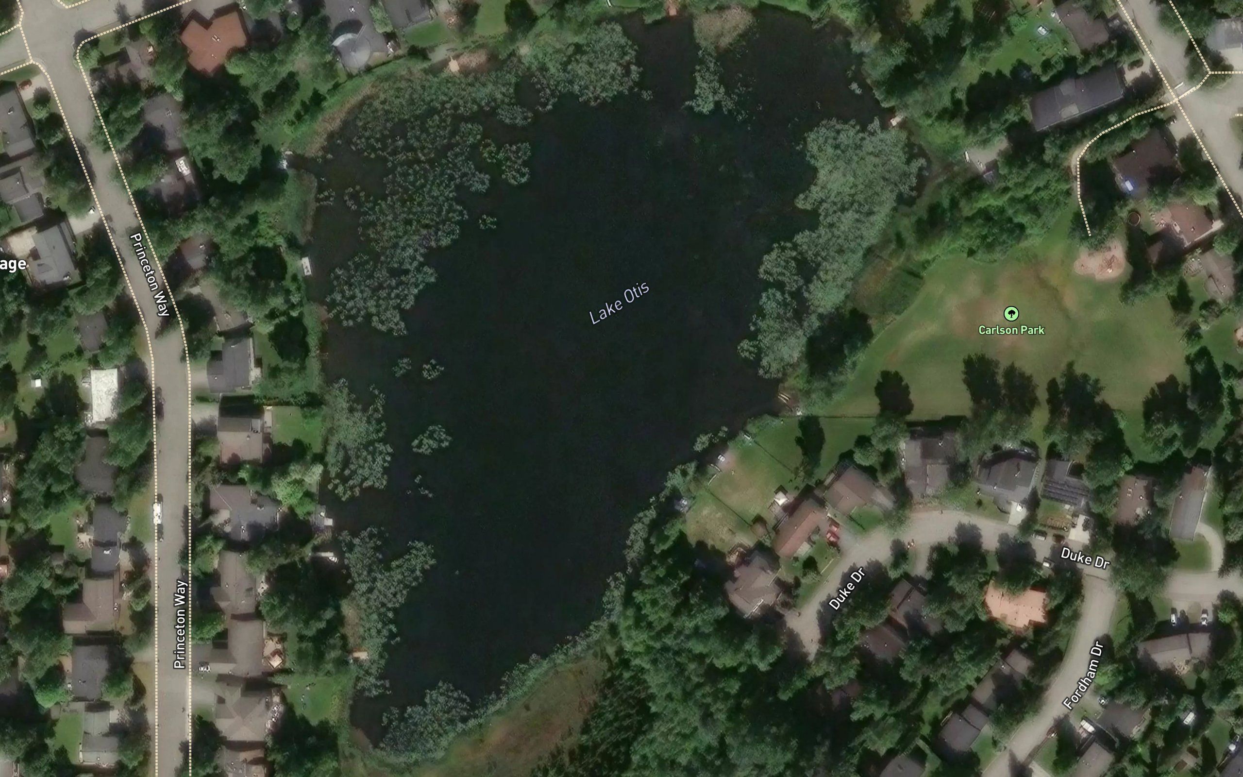 Lake Otis