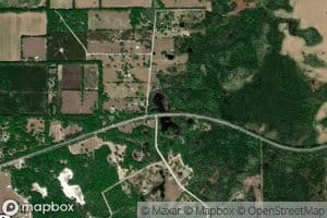 Gator Pond
