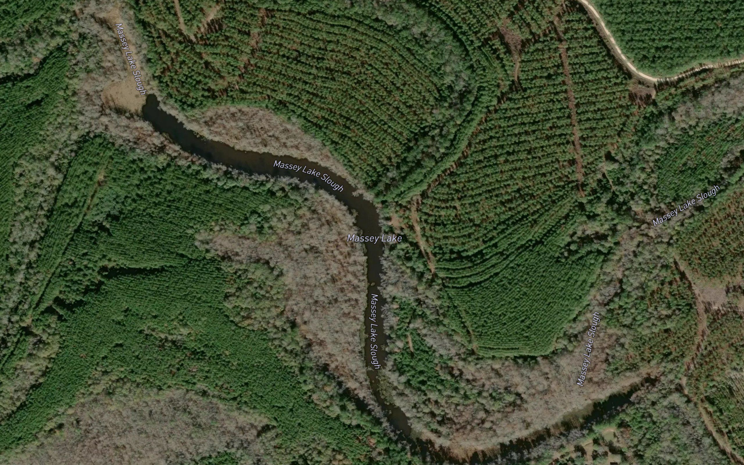 Massey Lake