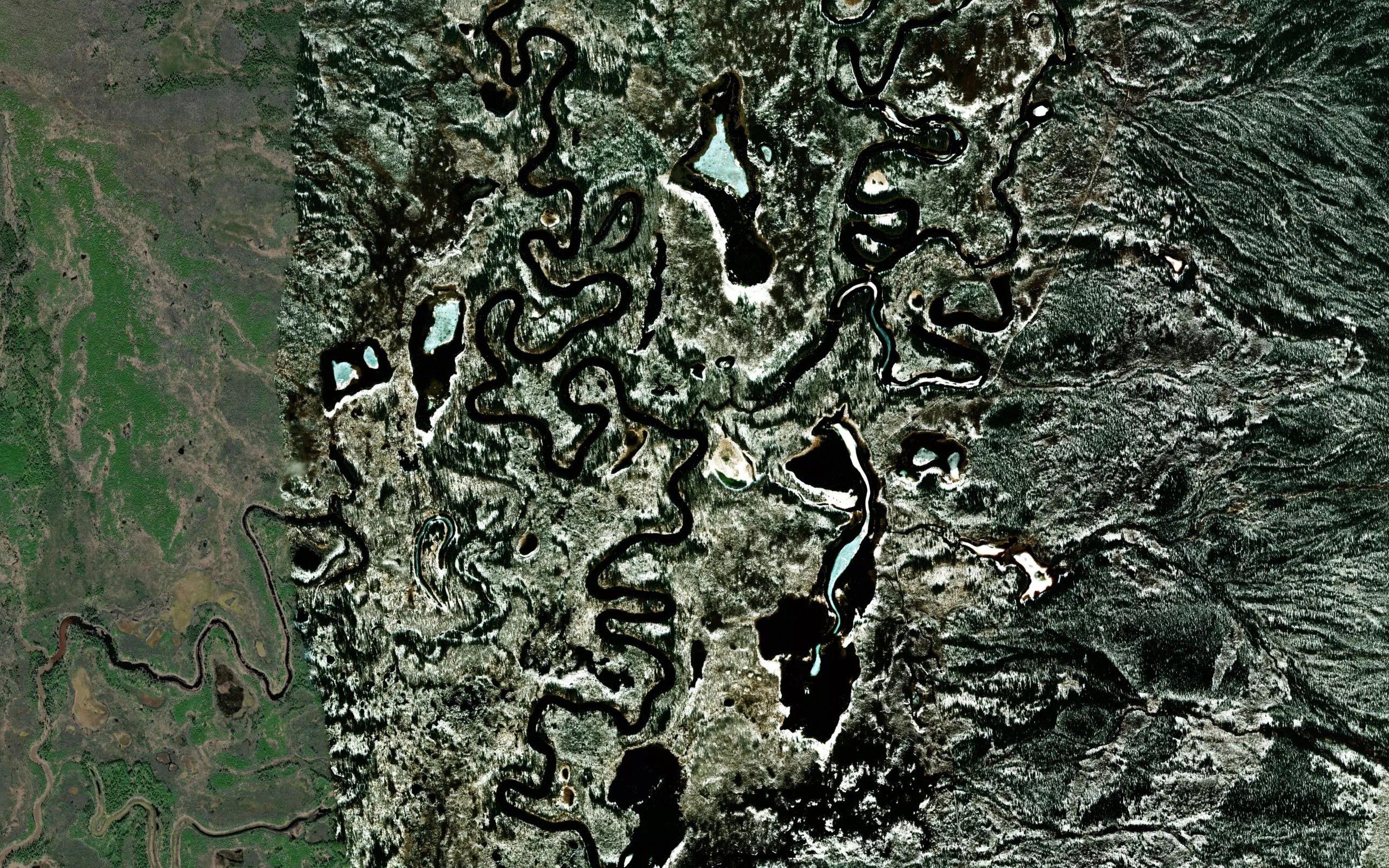 Vigor Creek