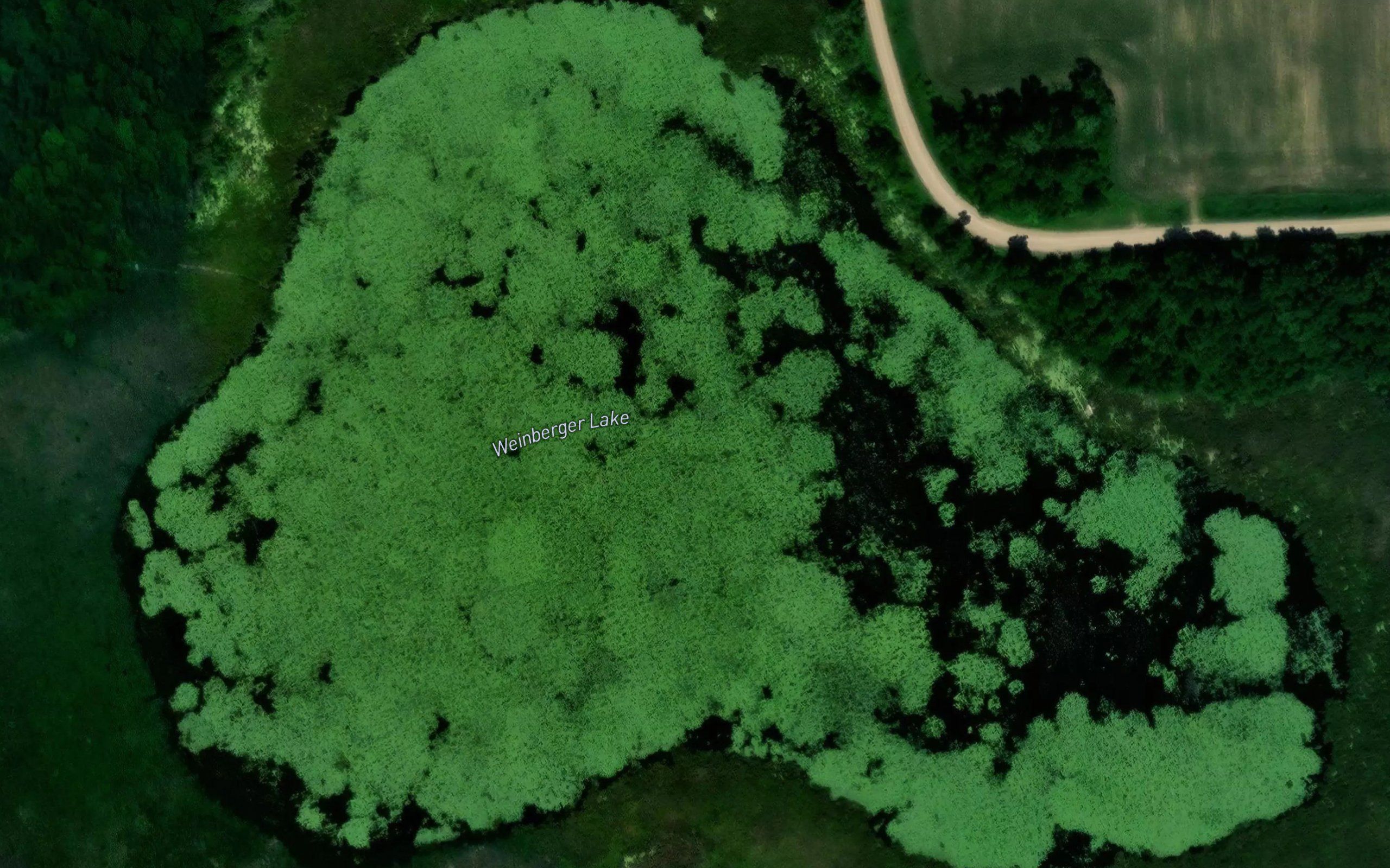 Weinberger Lake